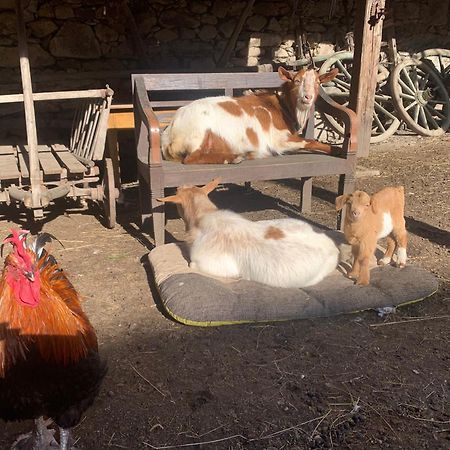 Chalupa Gretl Pohorsko Dış mekan fotoğraf