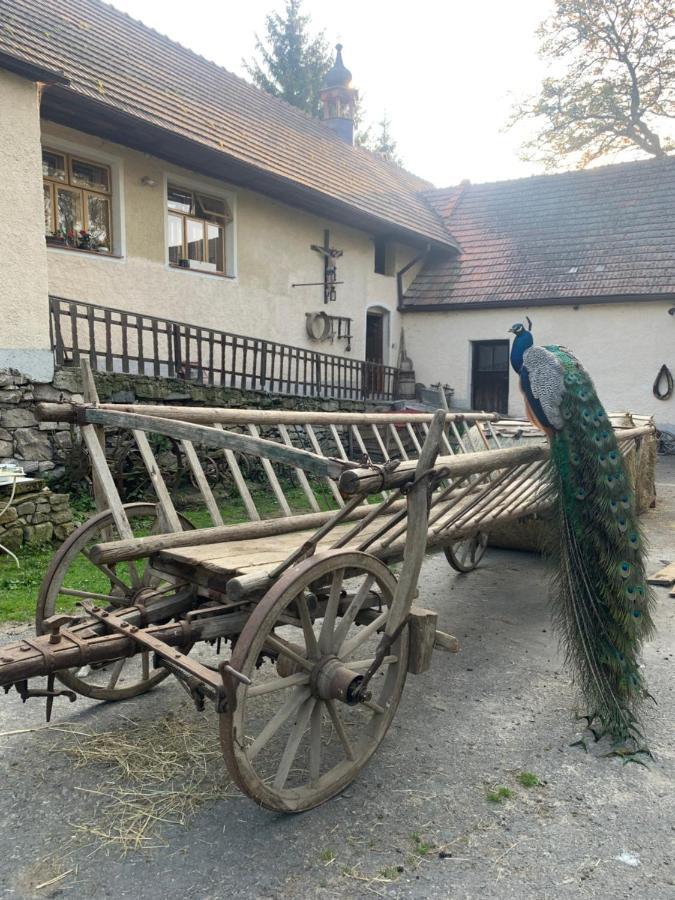 Chalupa Gretl Pohorsko Dış mekan fotoğraf