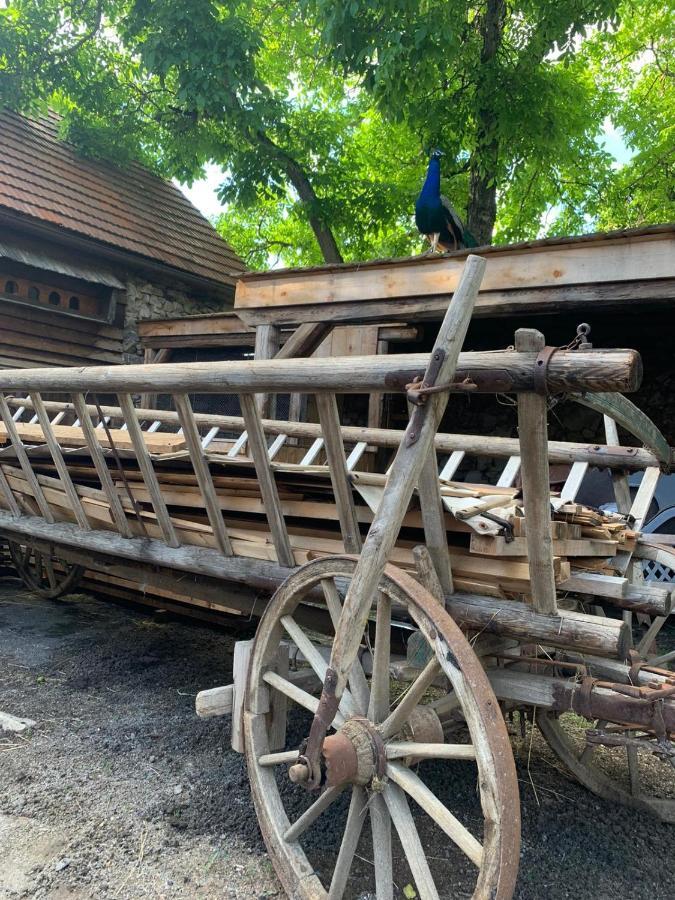 Chalupa Gretl Pohorsko Dış mekan fotoğraf